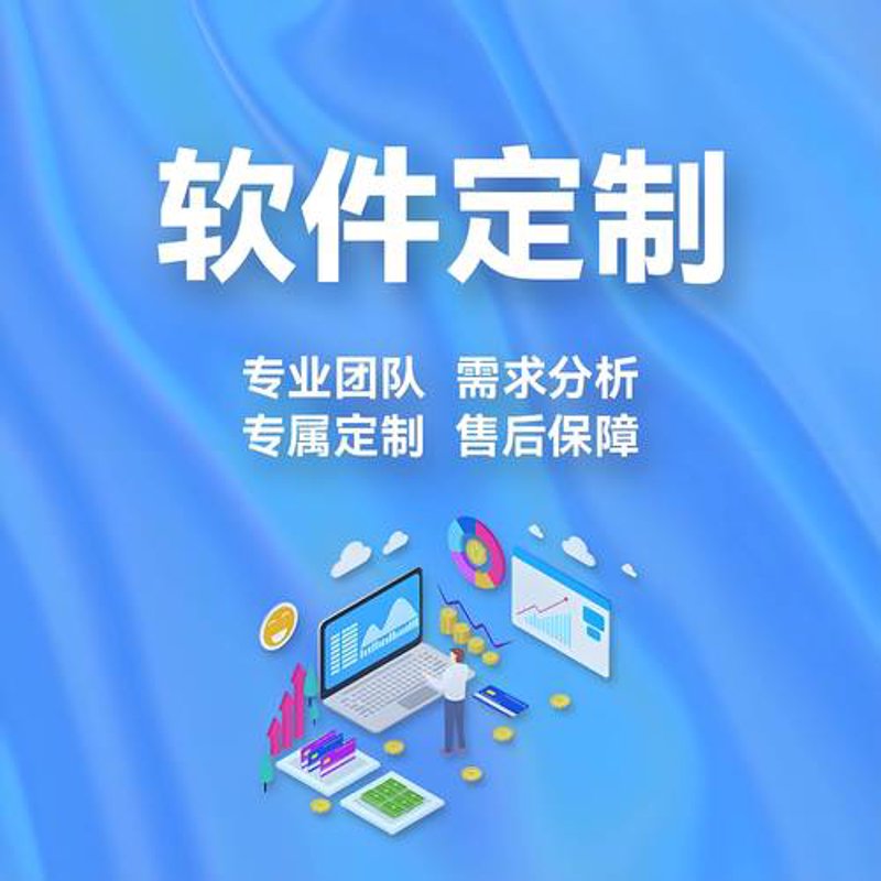 探索软件开发工作室的创新之路：一个成功的案例分析